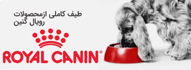خرید انلاین غذای سگ و گربه